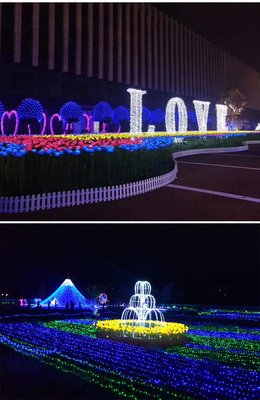 点亮梦幻世界 动植物花灯光节的魅力与彩灯制造的艺术