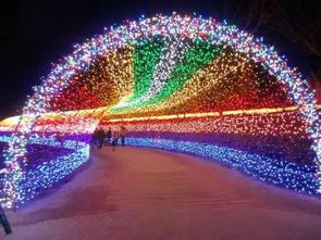 黄河岸边不夜天 千万彩灯铸就光影奇境，点亮舌尖上的文旅盛宴